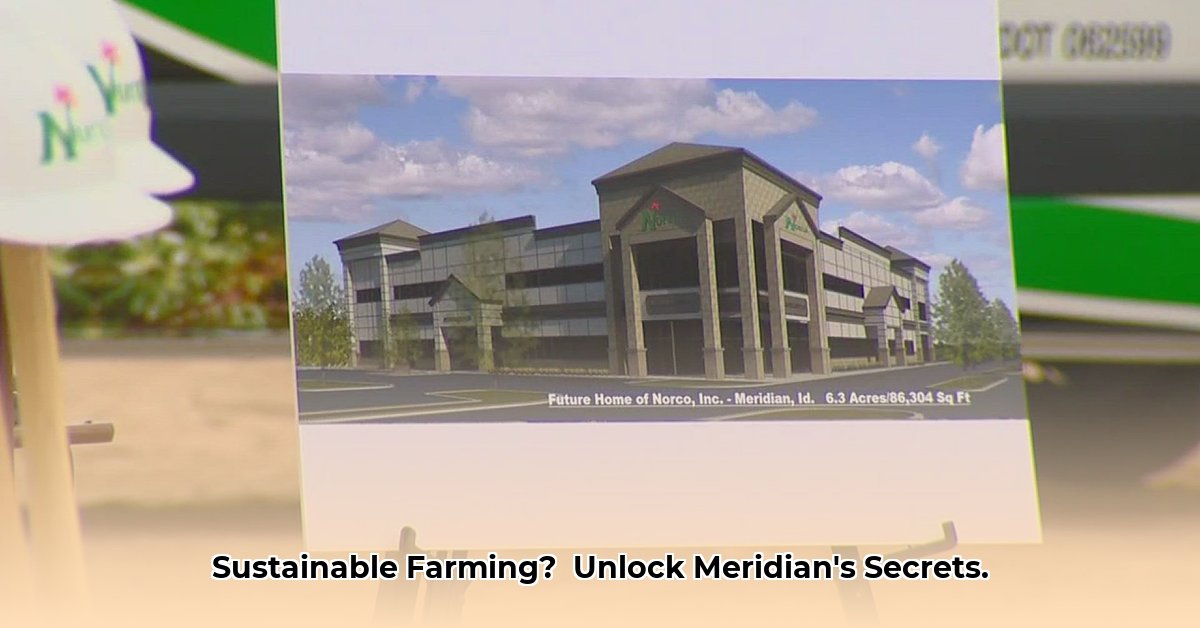 norco-meridian-meridian-id